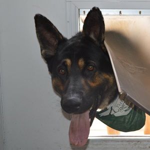 Meet your Posher, Linda